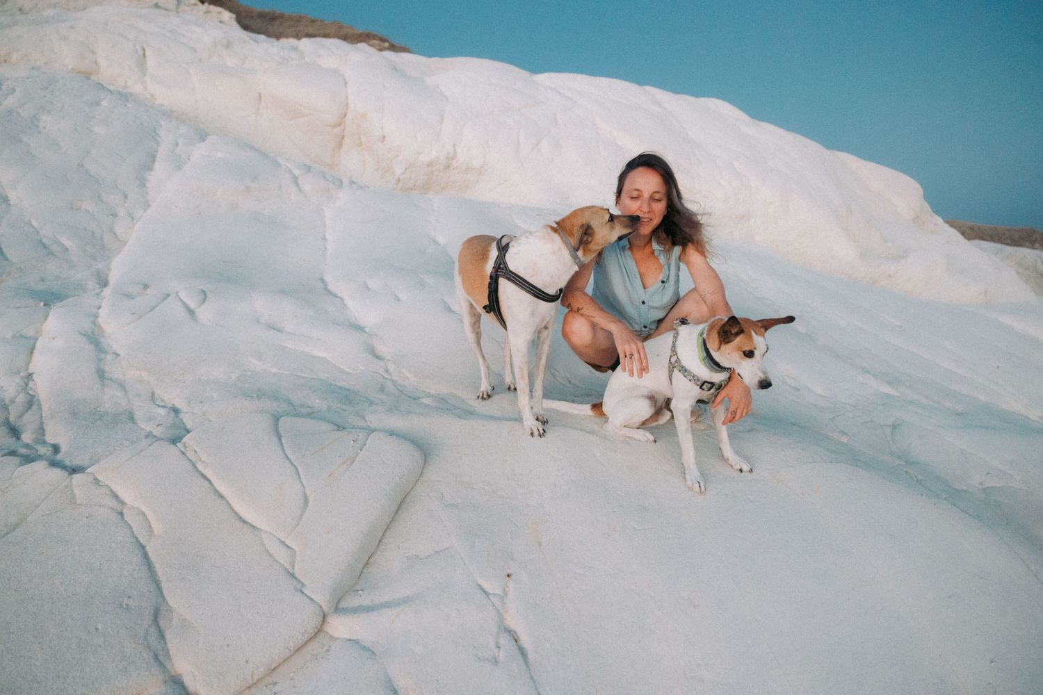 A white dog explores a snowy mountainside terrain during a winter adventure.