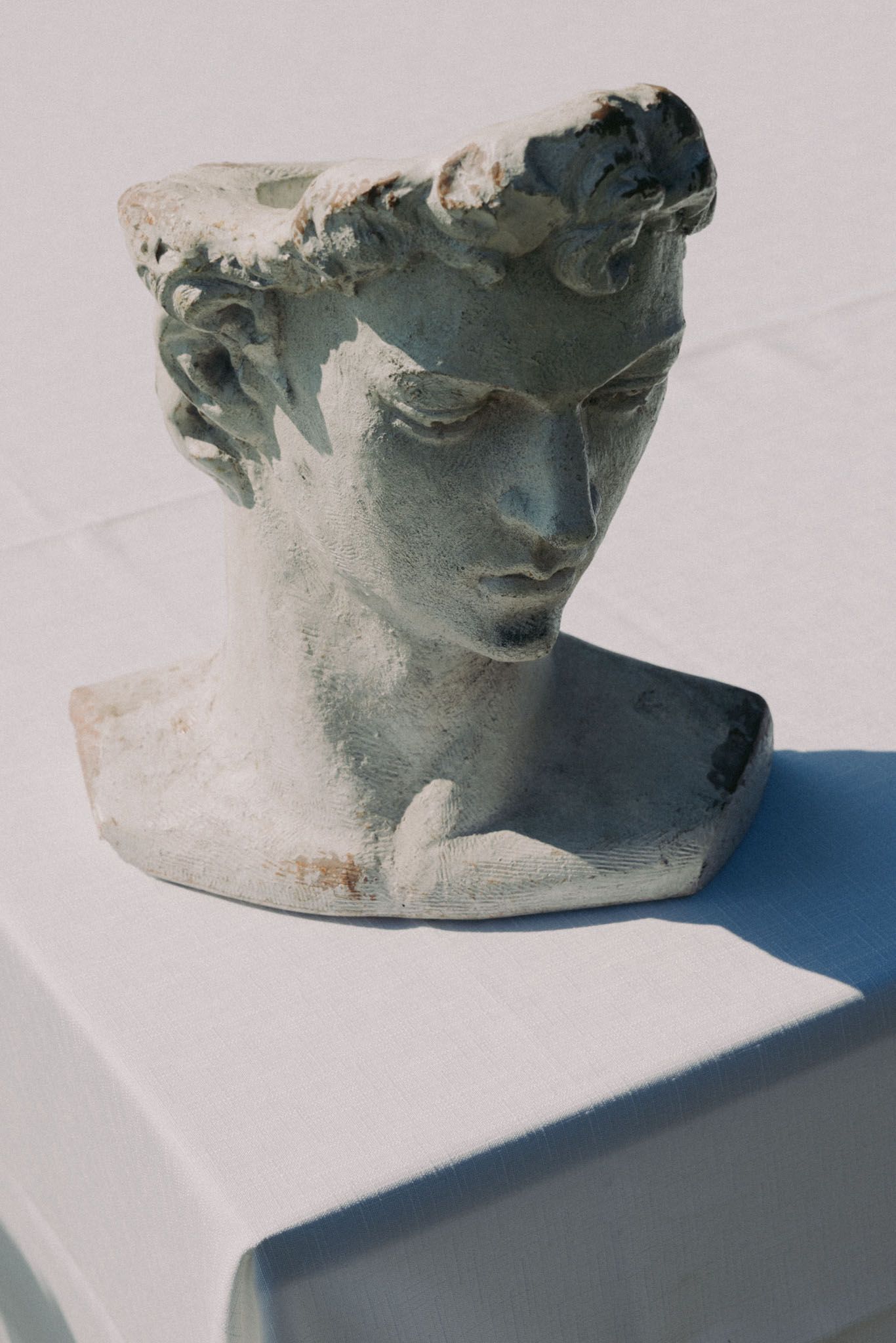 A classical style plaster bust sculpture with dramatic shadows cast on a white surface.