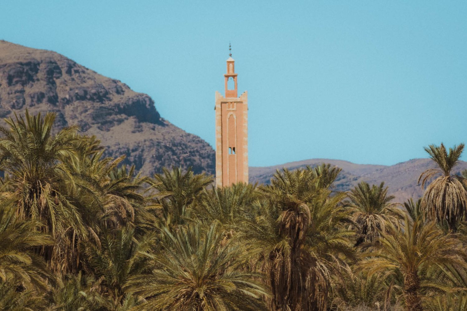 A tall minaret tower rises above palm trees against a backdrop of rugged mountains in Morocco.