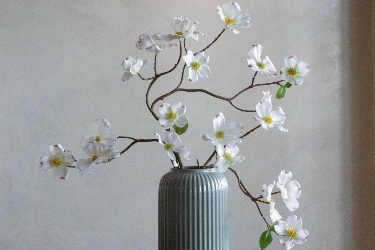 A delicate white orchid flower branch displayed in a gray ribbed ceramic vase against a neutral wall.