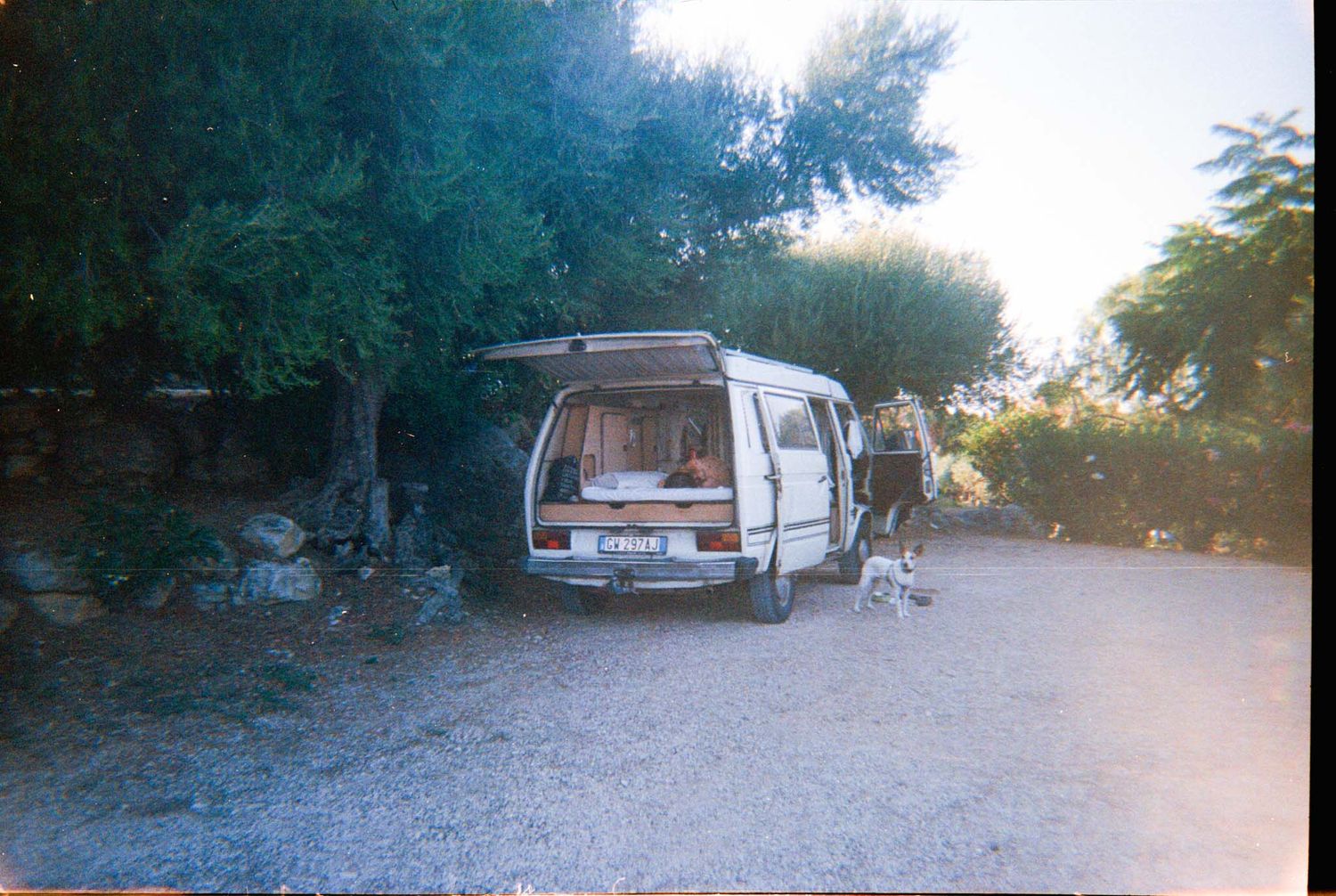 Row of RVs and campers parked along a wooded campground area at dusk.