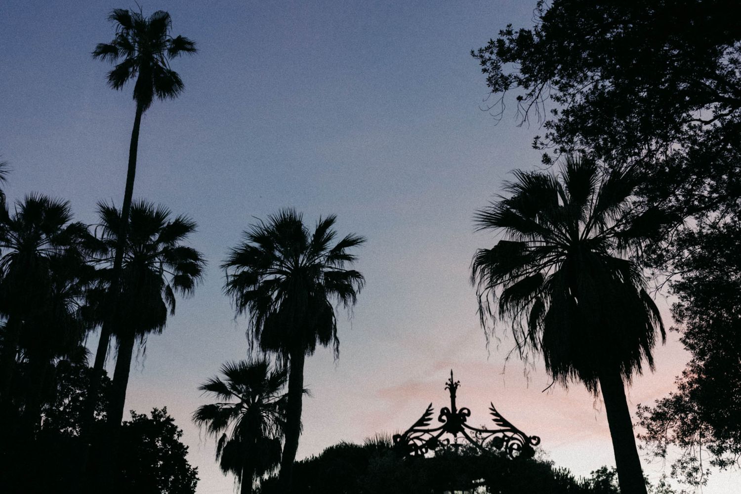 Palm trees silhouetted against a dusky sky create a dramatic tropical landscape at sunset.