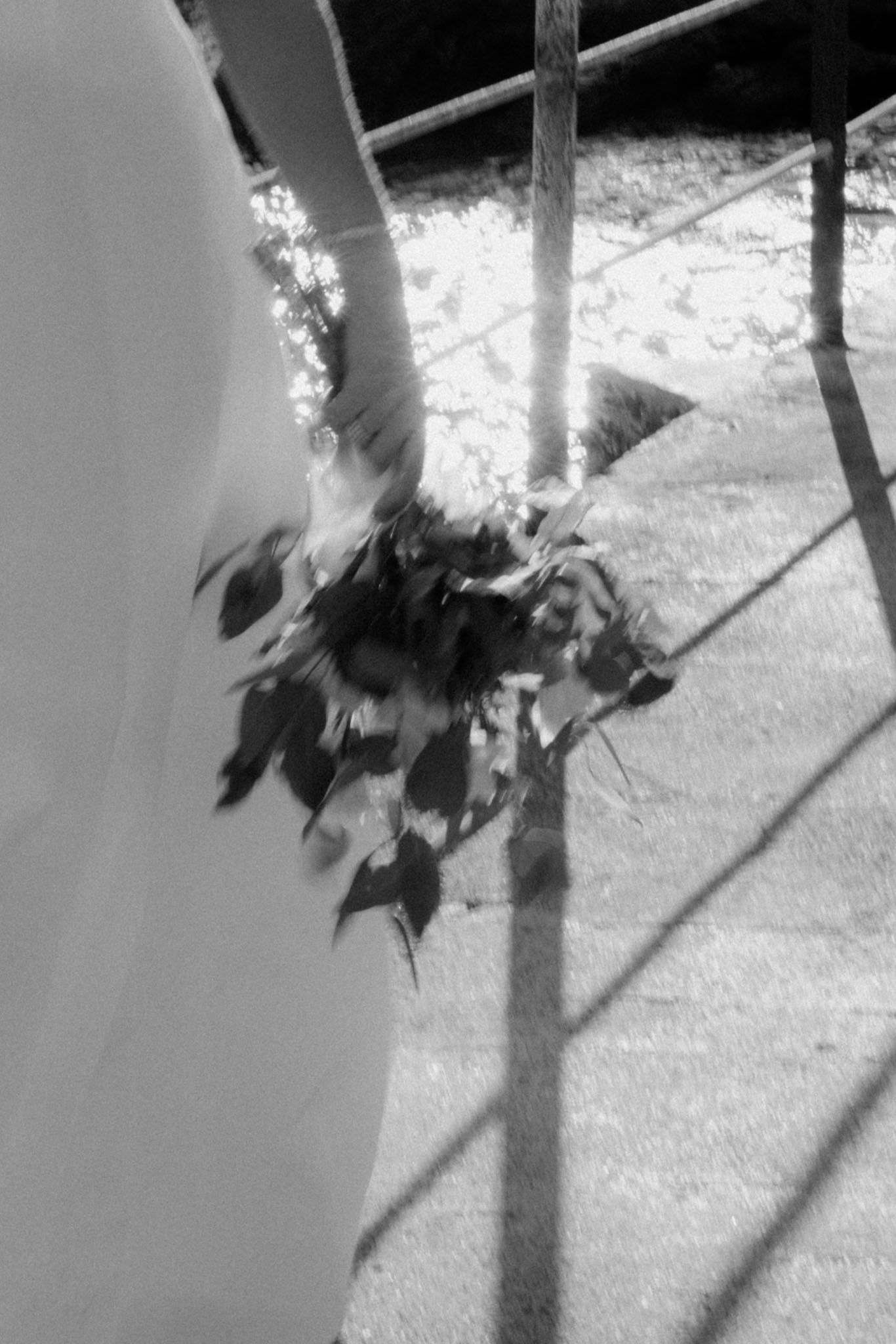 Black and white photograph of tree branches casting dramatic shadows on a textured surface in natural light.
