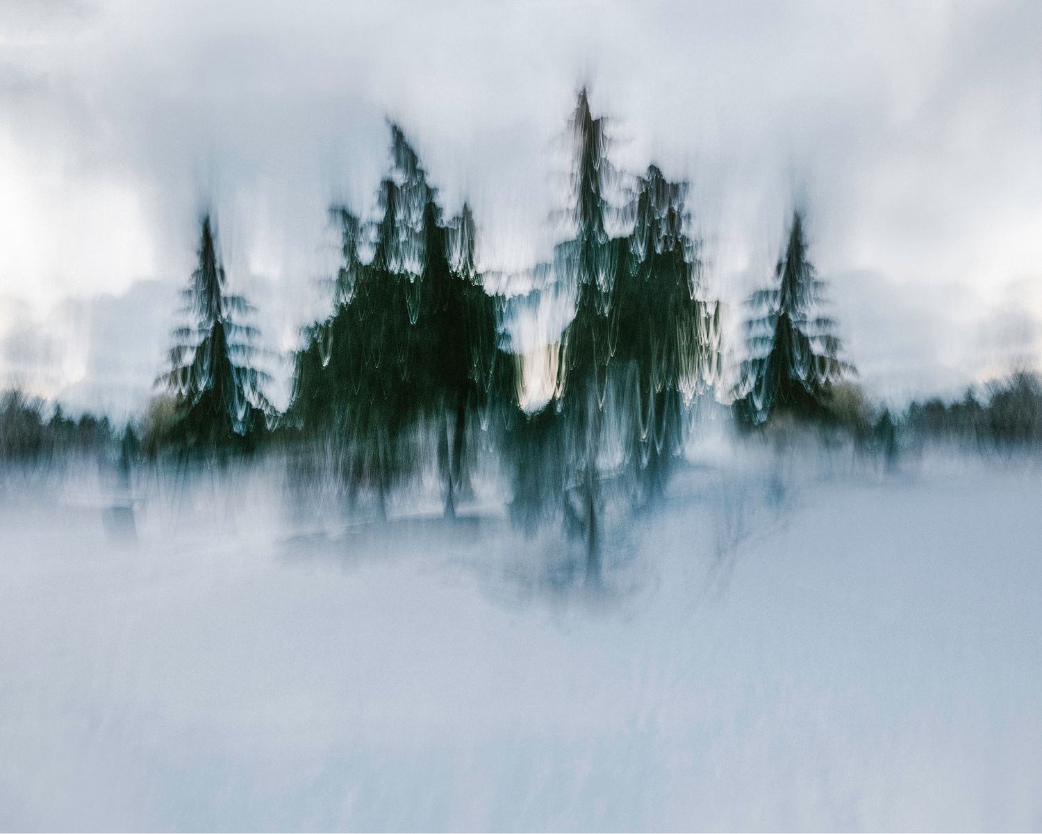 Abstract winter landscape photograph with motion blur, silhouetting evergreen trees against a moody gray sky