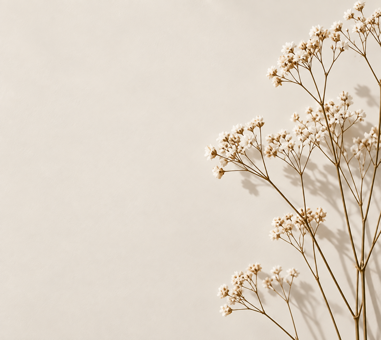 Delicate dried baby's breath flowers with golden stems arranged on a soft beige background.