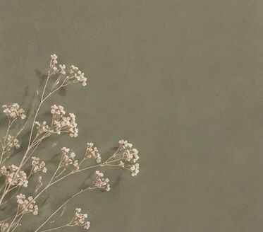 Dried baby's breath flowers in lower left corner against a muted olive green textured background.