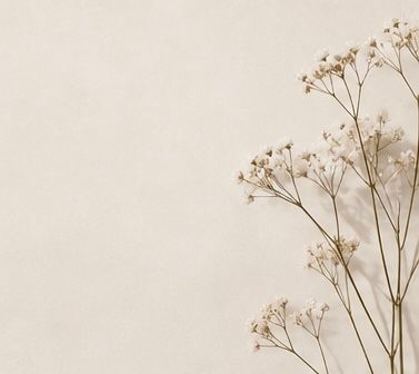 Delicate dried baby's breath flowers arranged in bottom right corner on a soft beige background.