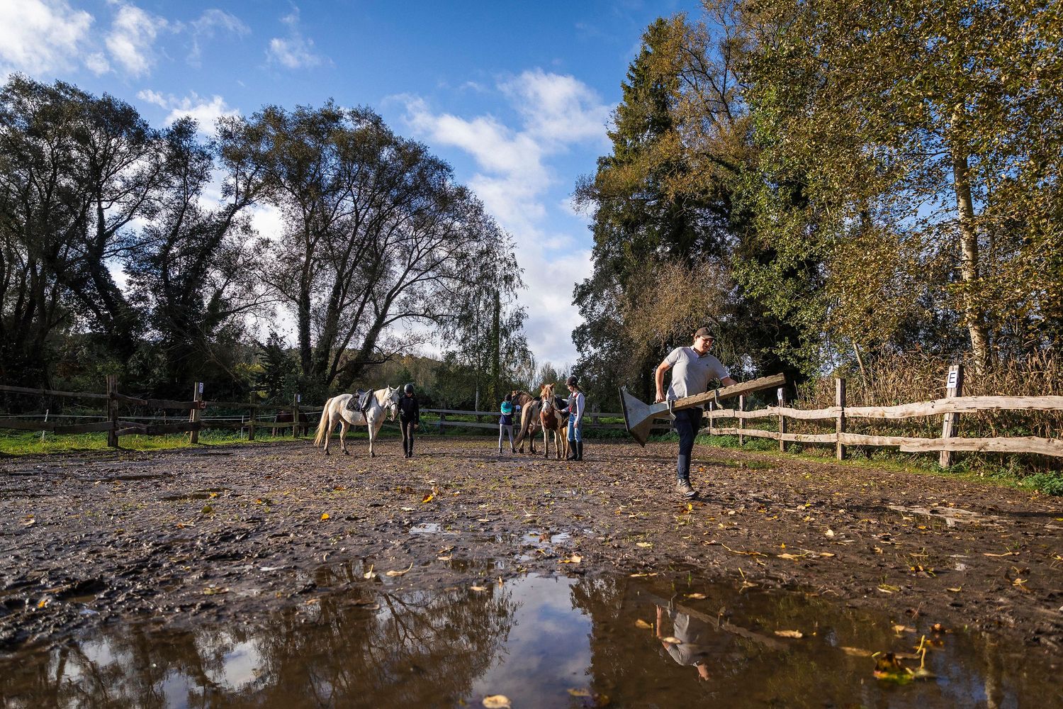 Panoramic view of a horse paddock with wooden fencing and puddles reflecting autumn trees.Claire Bourguin Bourgain Bourgoin Bourquin - Photo