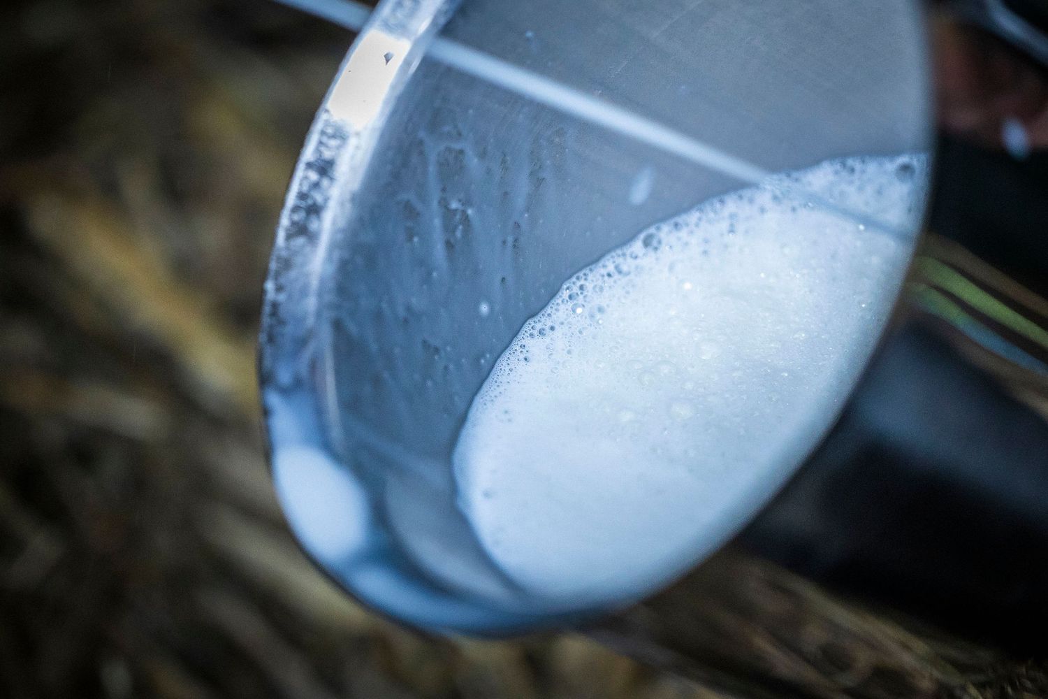 Close-up shots of liquid solutions in laboratory glassware showing foam and bubbles. Claire Bourguin Bourgain Bourgoin Bourquin - Photograph
