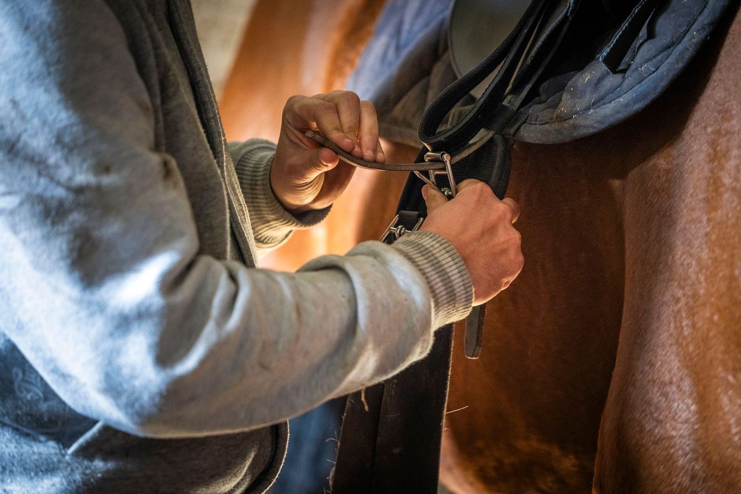 Veterinarian performing a medical examination on a brown horse in a stable setting.