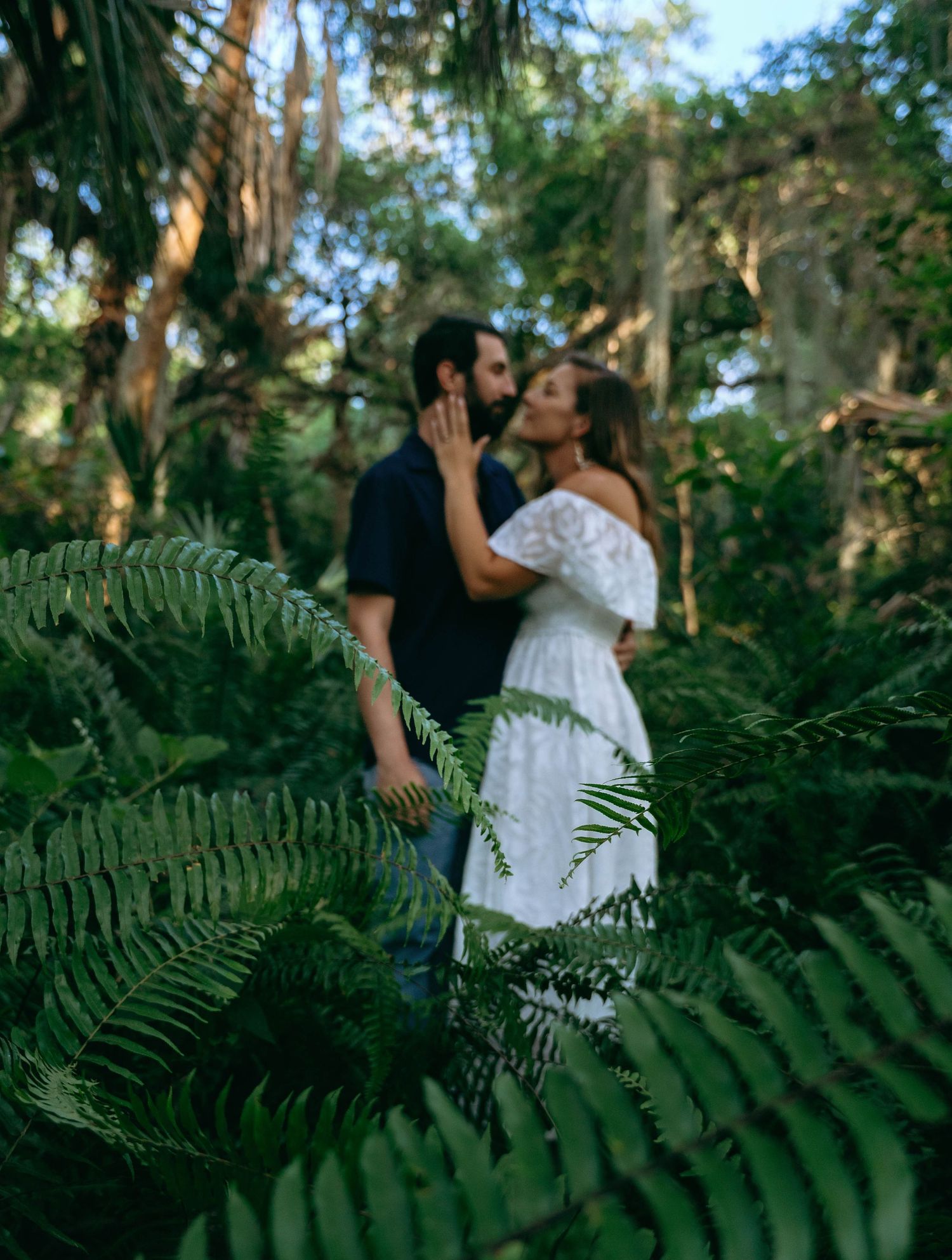 Couple embraces in a lush forest setting surrounded by green ferns and dappled sunlight.