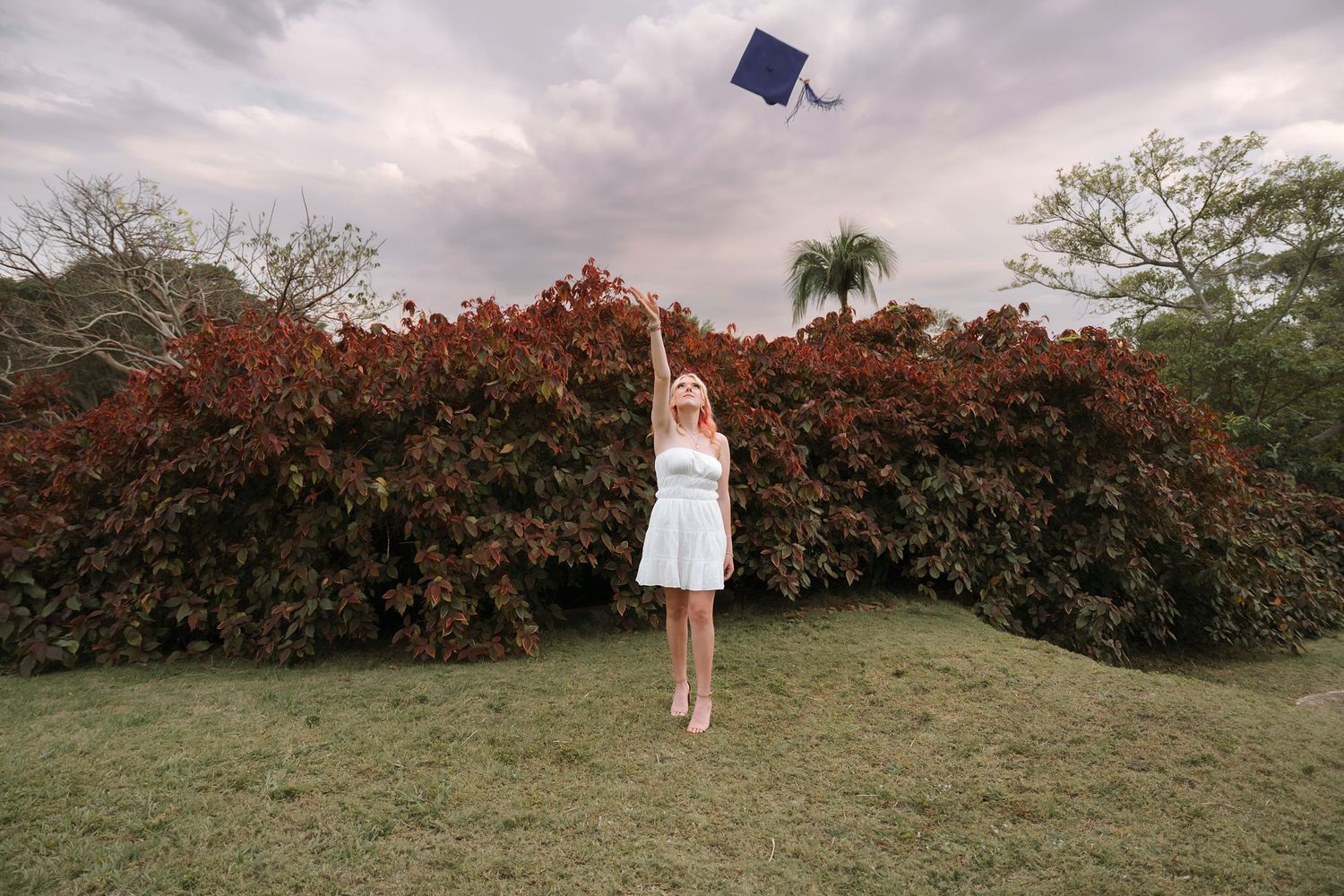 A graduation cap is tossed in the air against a backdrop of red autumn foliage.