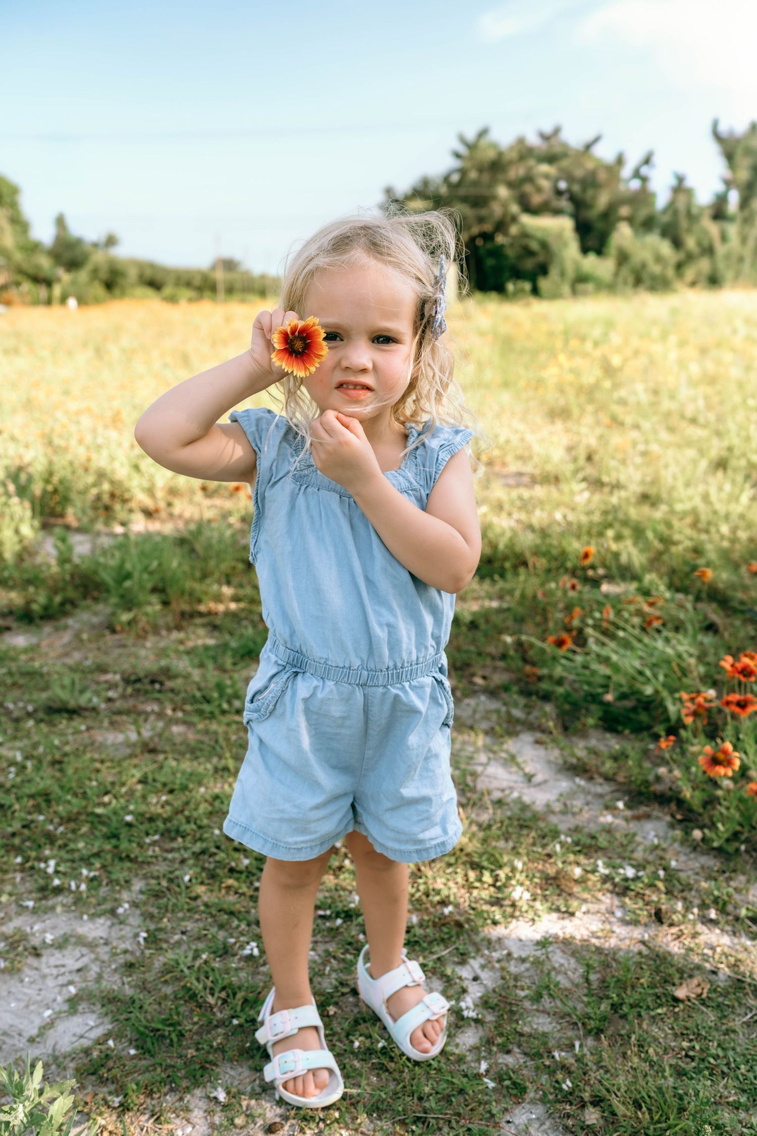 Cute blonde toddler girl in blue romper holding an orange flower in a sunny wildflower field.