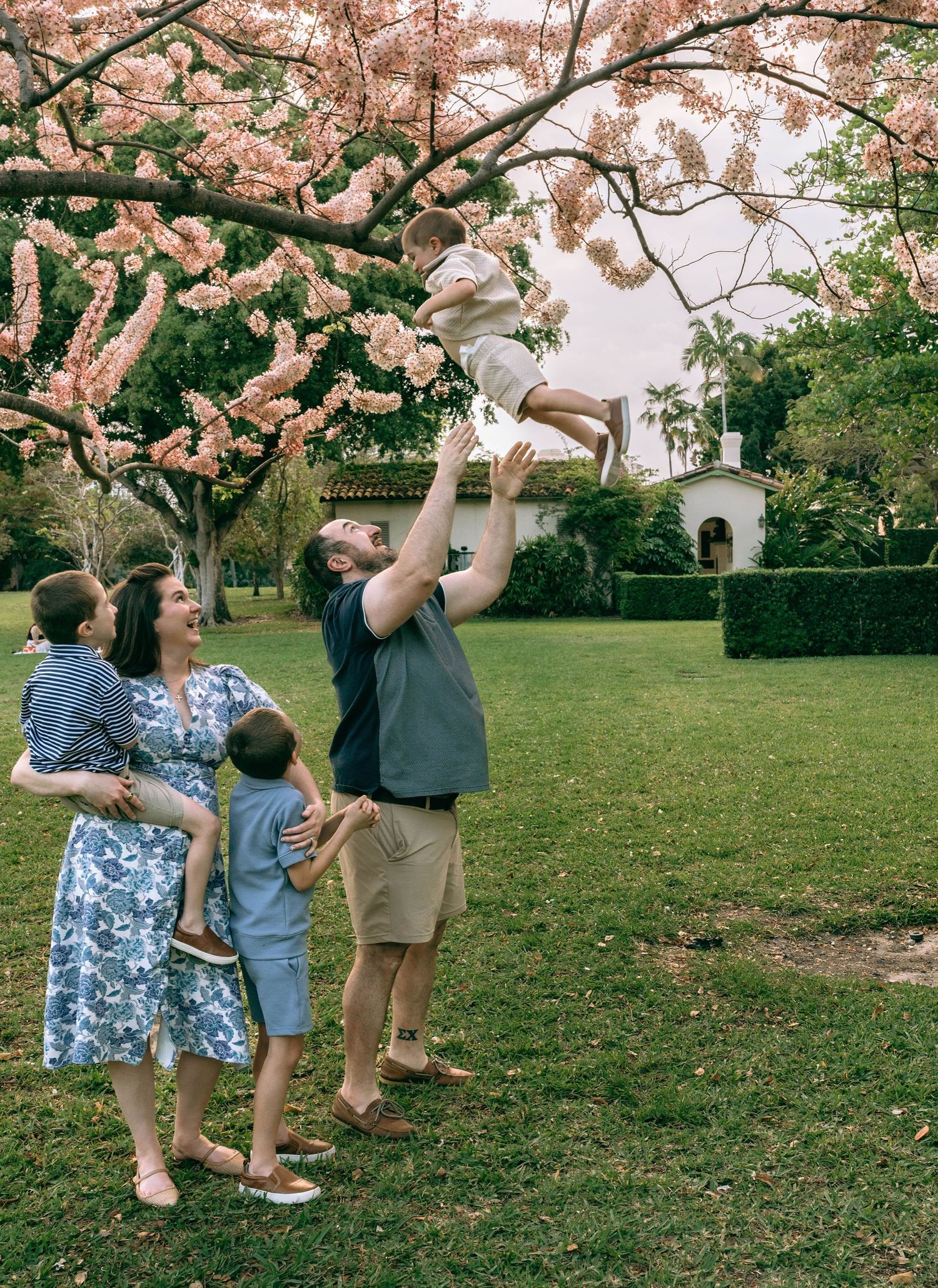 Family photo under blooming pink tree, dad tossing child in air while mom holds two kids on green lawn.  Family photos at Bradley Park