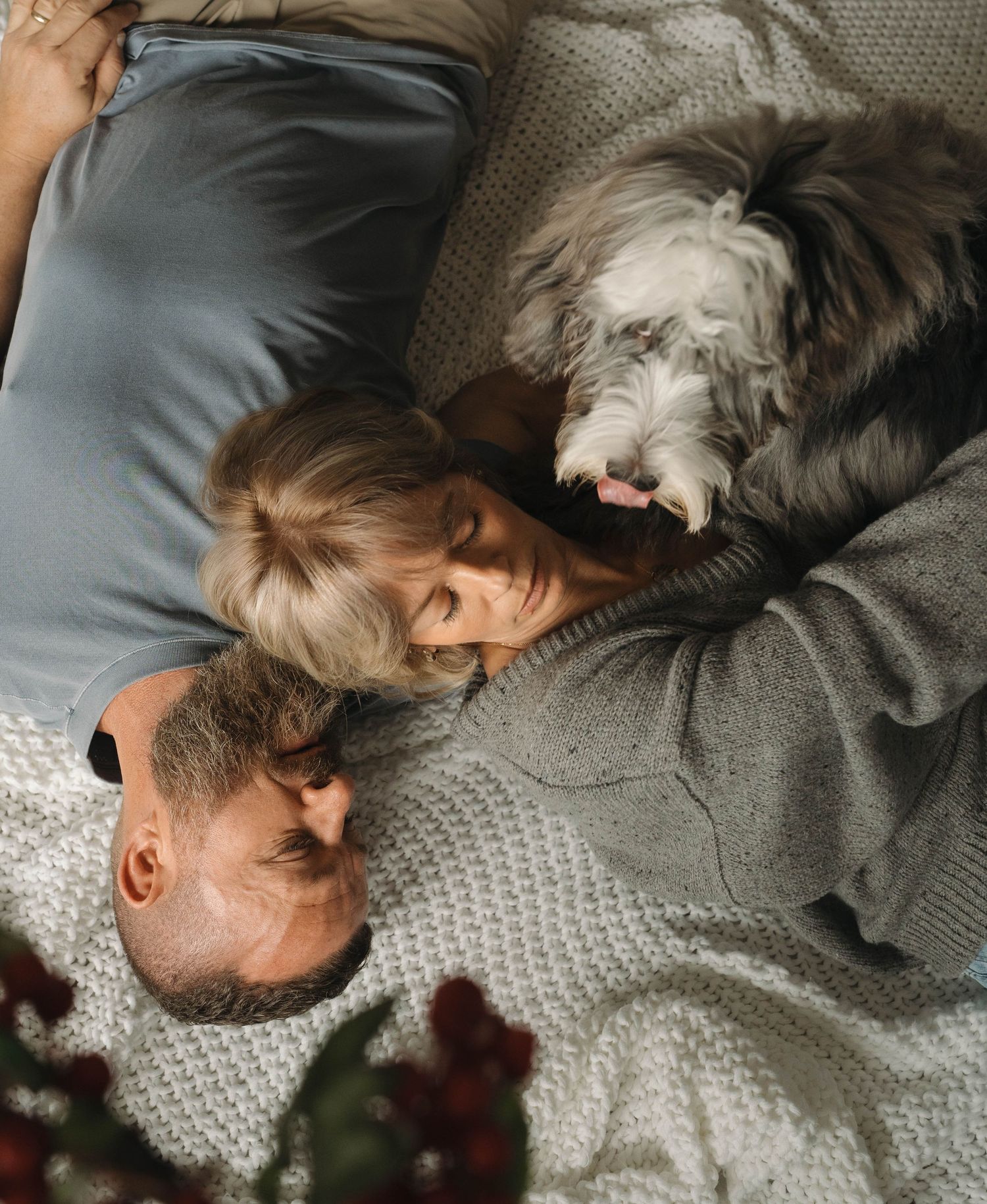 A grey shaggy dog lounges on a comfortable bed with companions.
