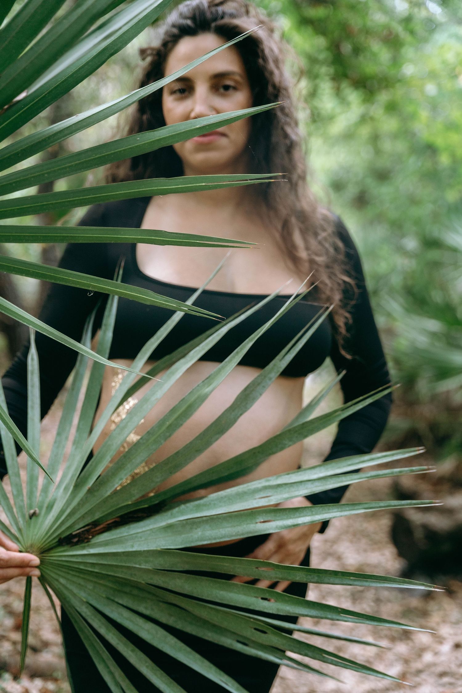 Artistic maternity portraits framed by tropical palm fronds in a natural outdoor setting.