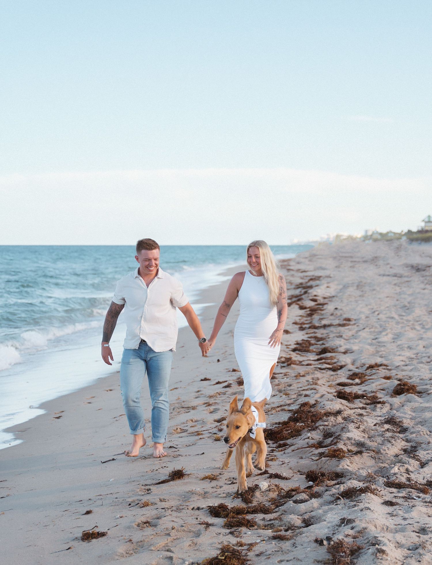 A couple walks their dog along a sunny beach.