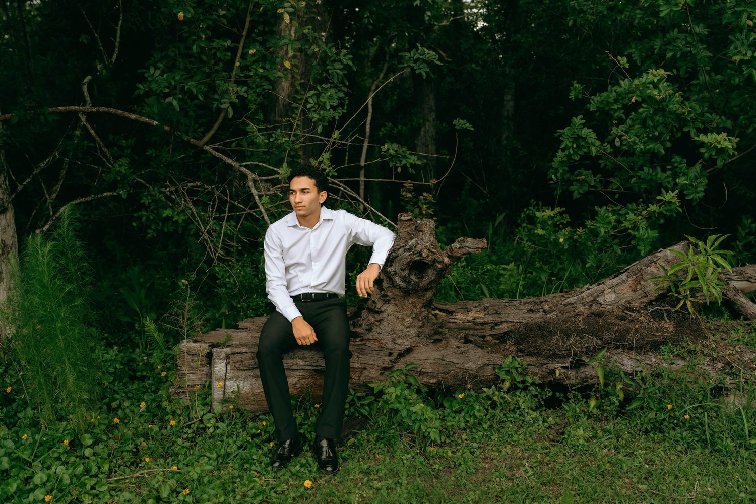 A young man in a white dress shirt and black pants sits on a fallen log in a lush green forest setting. Senior Photos at Colt Farms