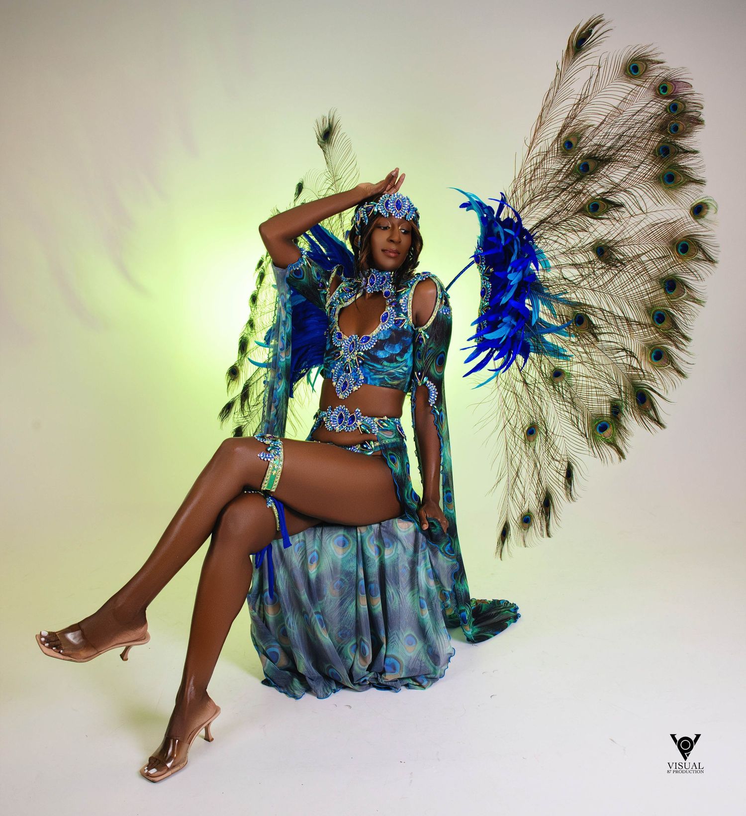 Visual 87 Production Atelier Sociale