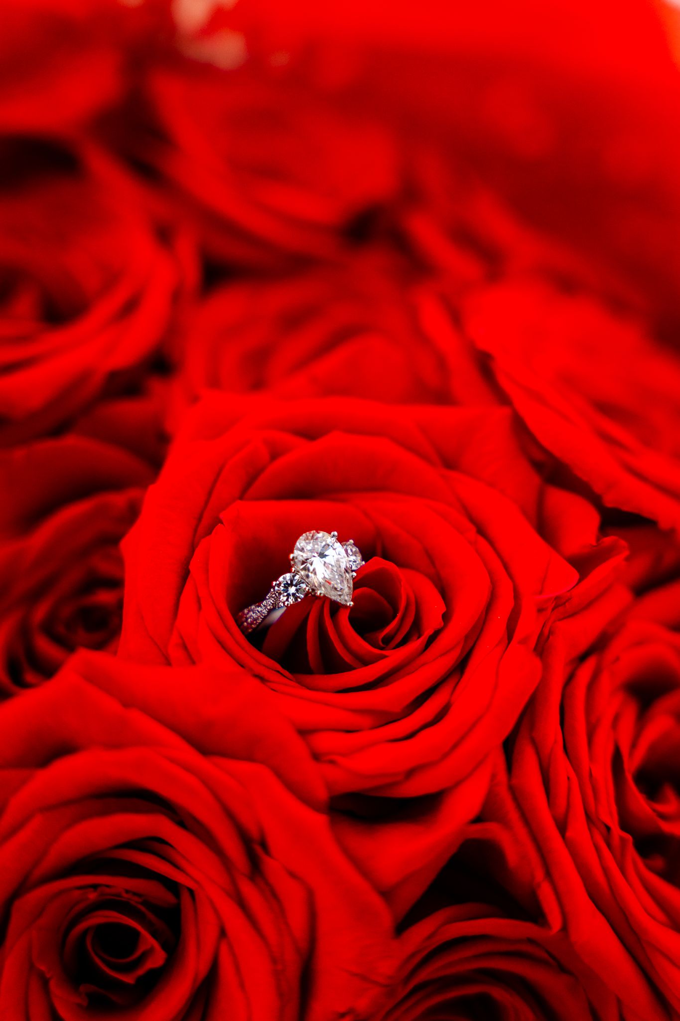 Proposal Photoshoot