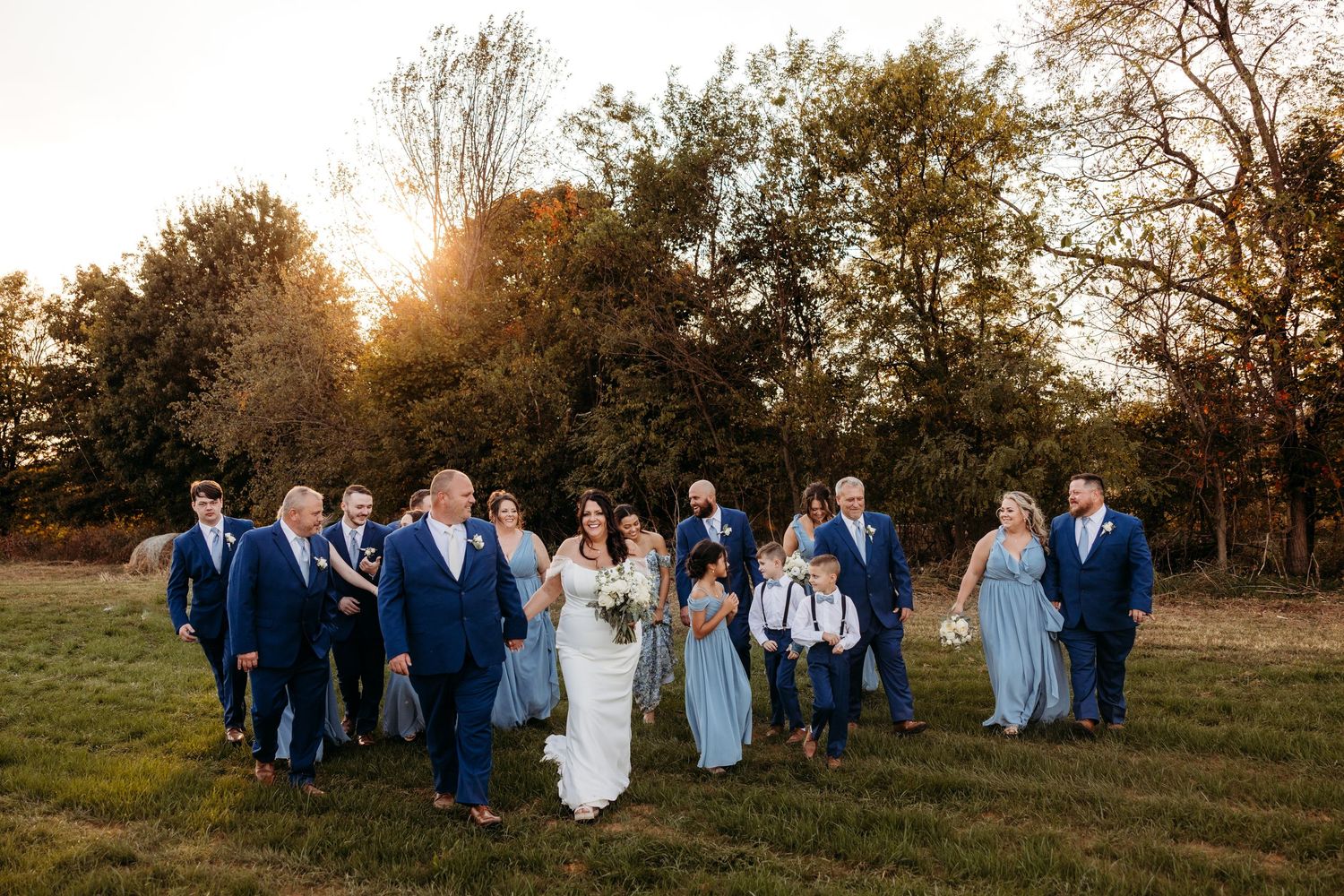 Wedding party walking through a golden sunlit field, bridesmaids in blue dresses and groomsmen in navy suits.