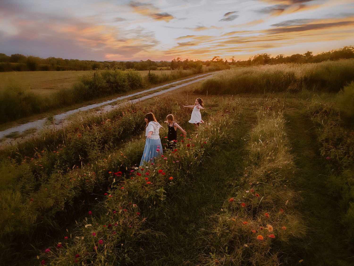 Scenic meadow landscape with walking path and dramatic sunset sky.