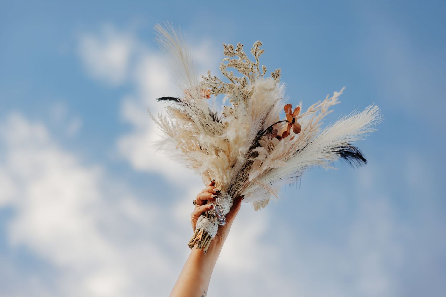 Dried pampas grass bouquet held against blue sky background.