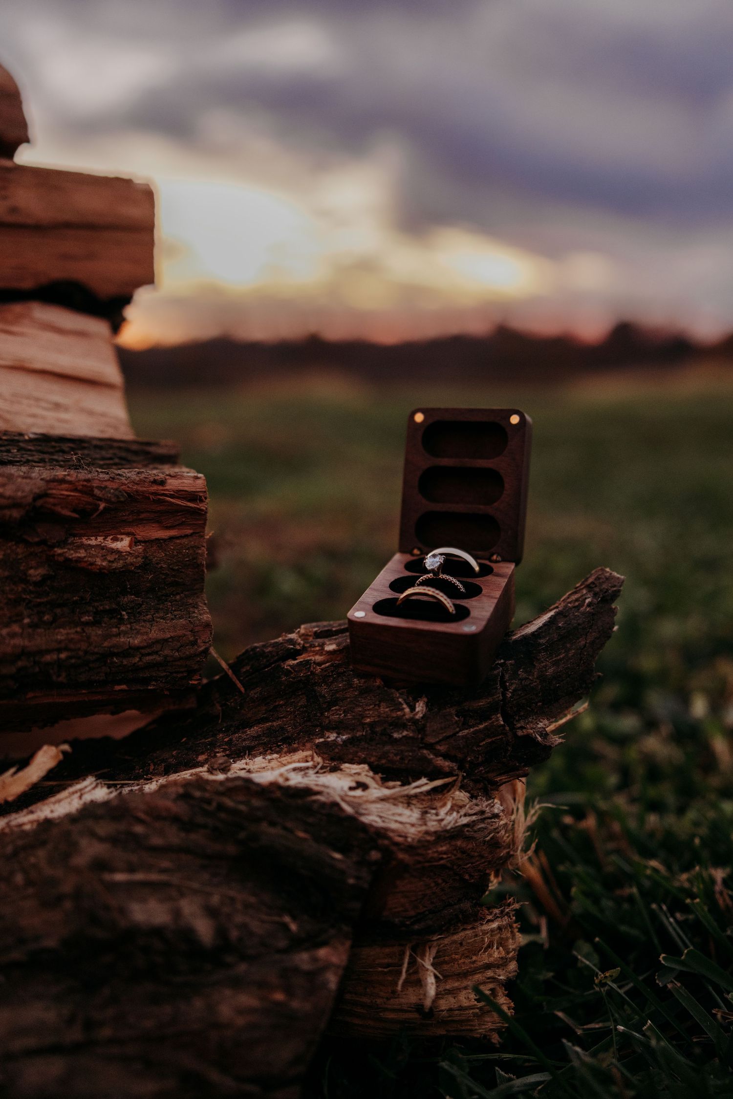 Wedding rings displayed in wooden ring box on rustic logs at sunset during outdoor ceremony.