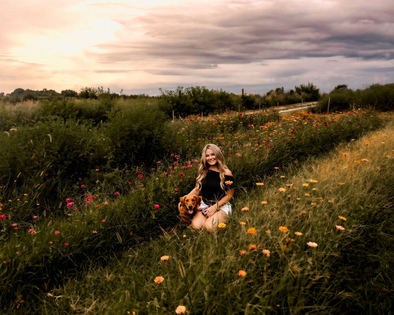 Person sits in a wildflower meadow at sunset surrounded by blooming flowers.