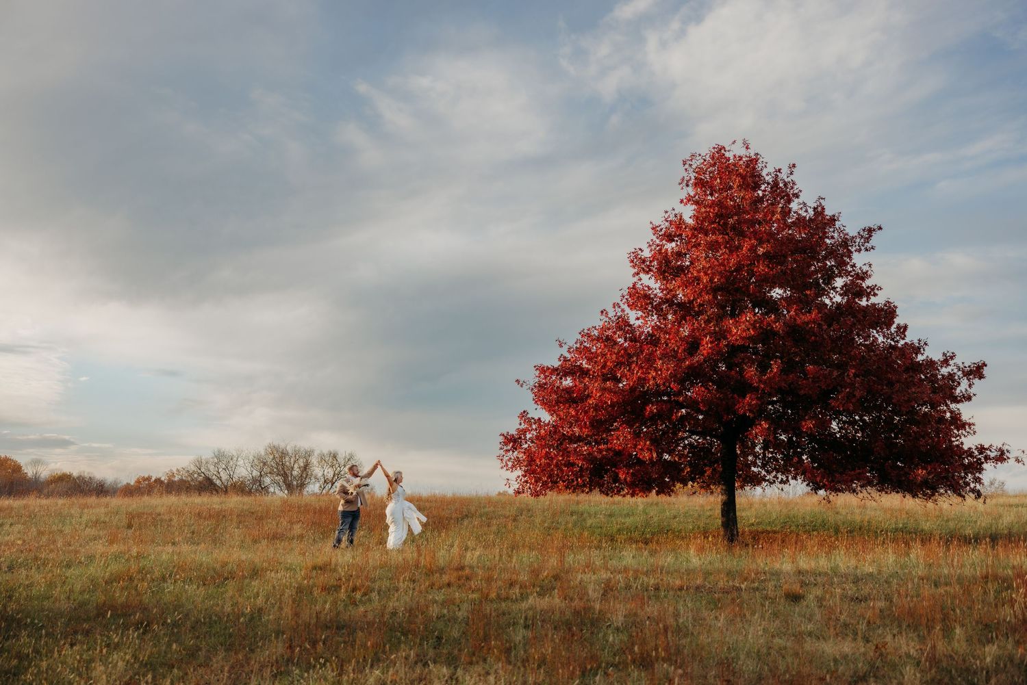 Scenic fall landscape with a vibrant red maple tree on a rolling hill under cloudy skies.