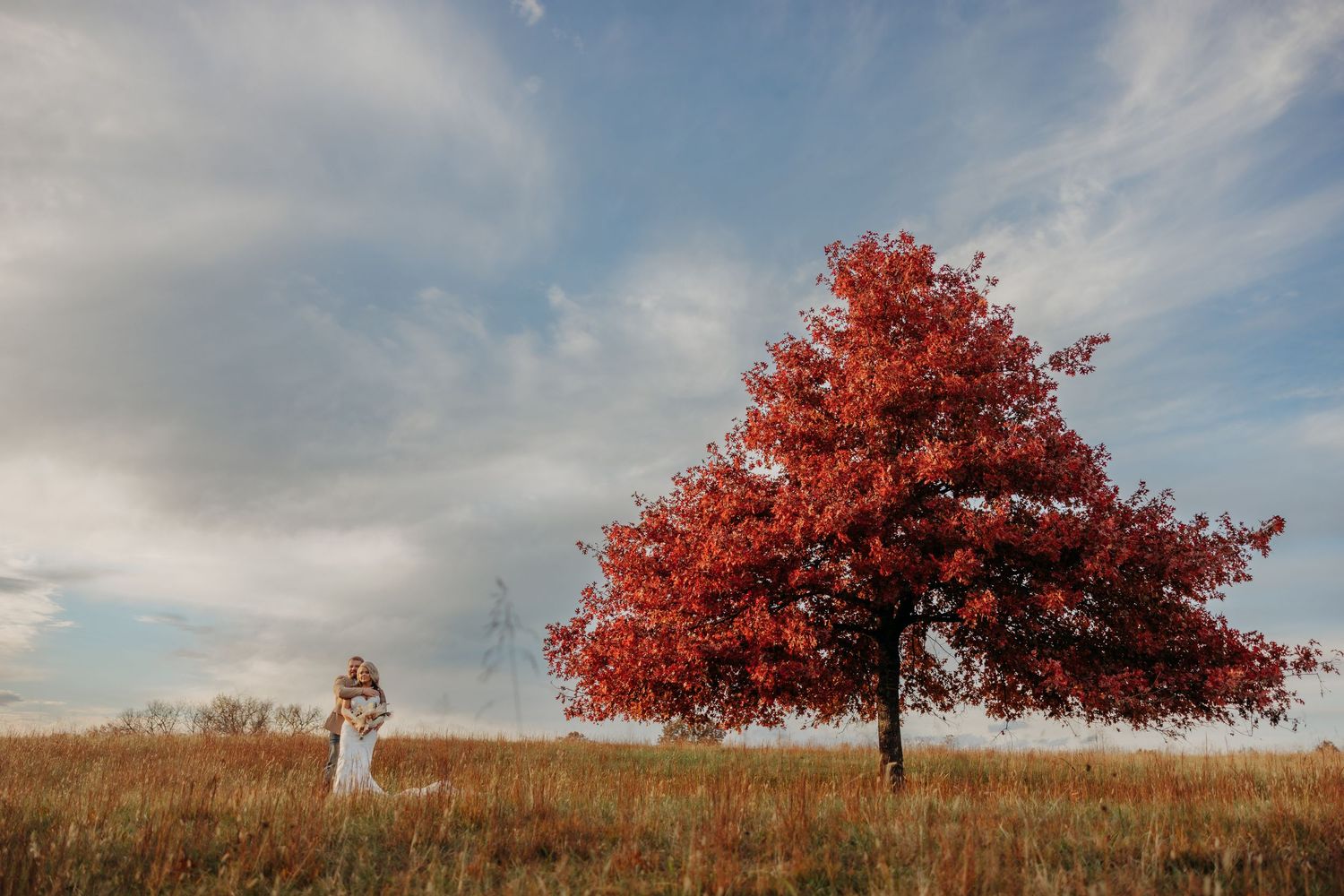 Bride stands in golden autumn field beside vibrant red tree under dramatic cloudy sky.