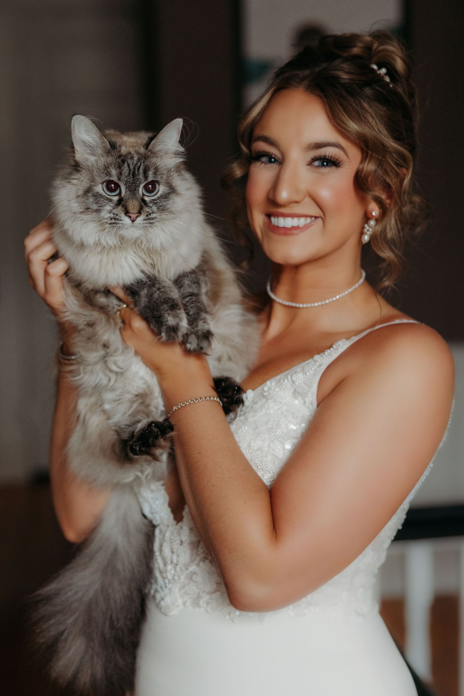 A fluffy grey Persian cat poses with someone in a white wedding dress.