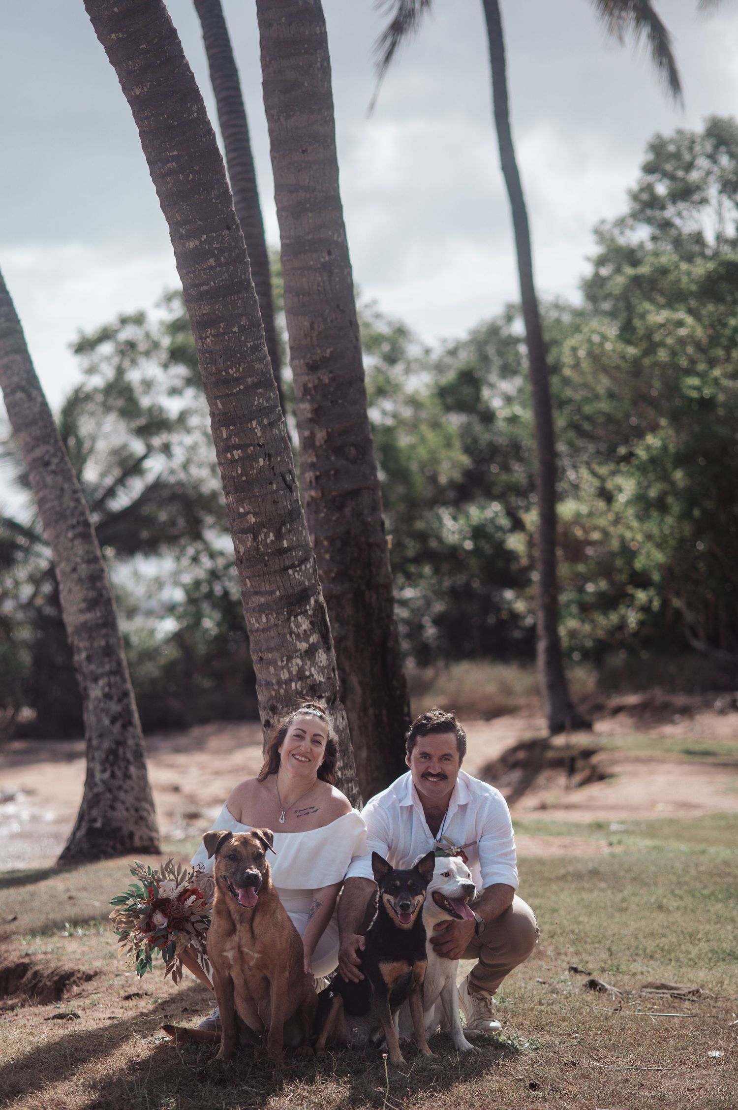 A couple poses with their dogs under palm trees on a tropical beach during an outdoor photo session.