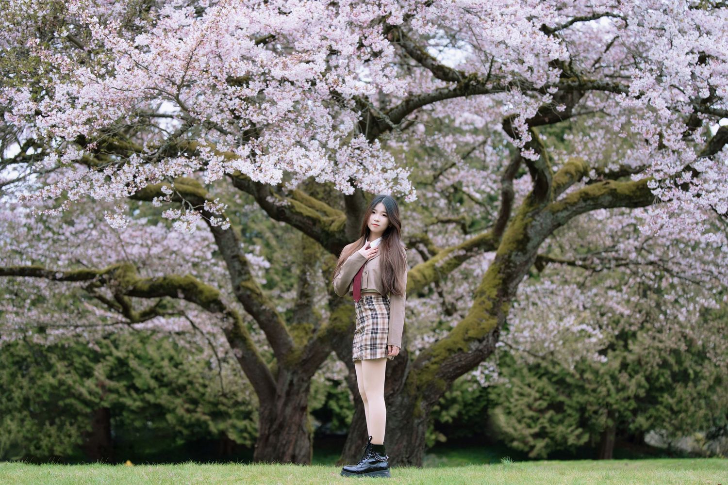 cherry blossom photo shoot