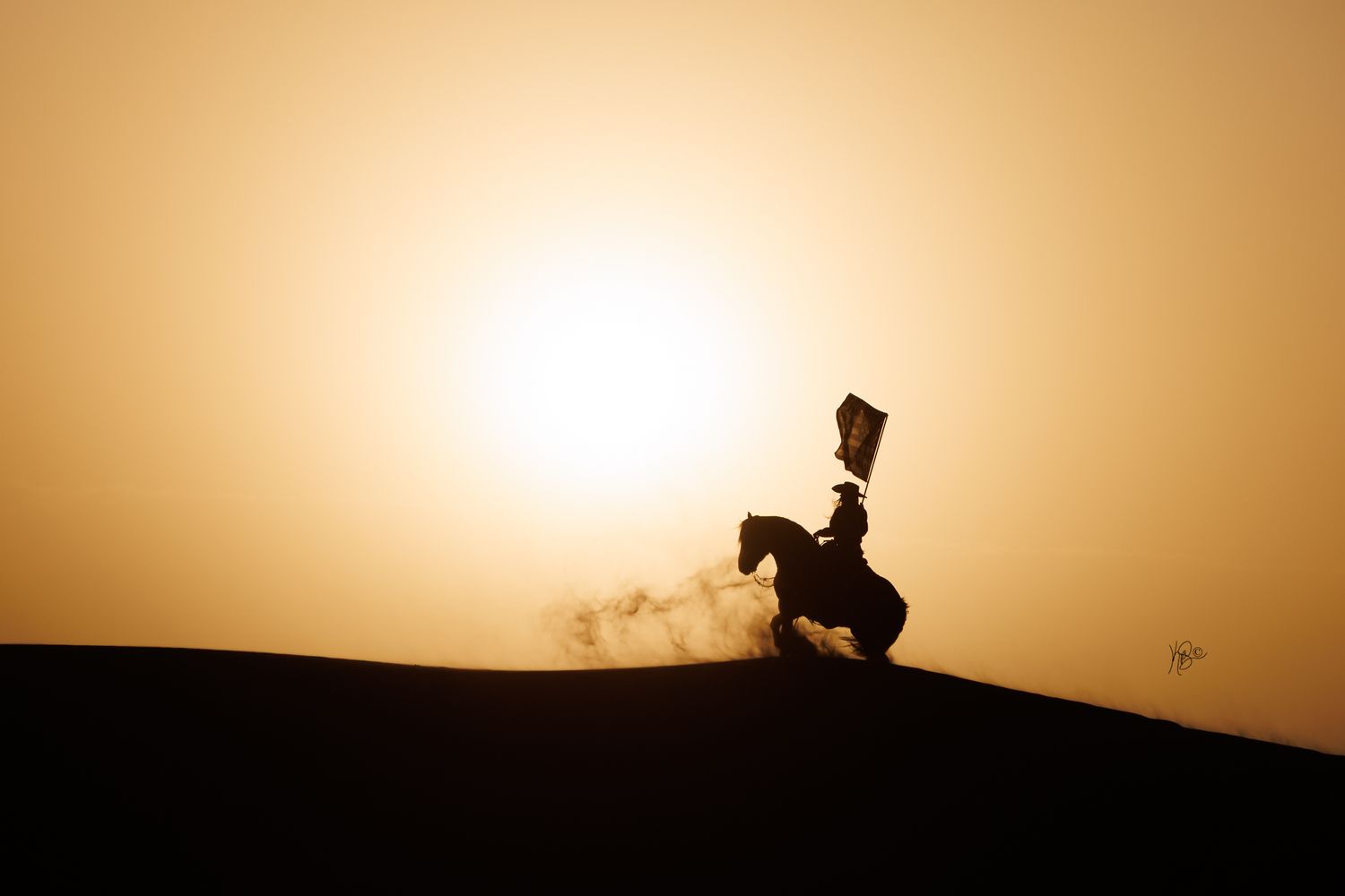 Dramatic silhouette of horse and rider with a flag on a hilltop at sunset.
