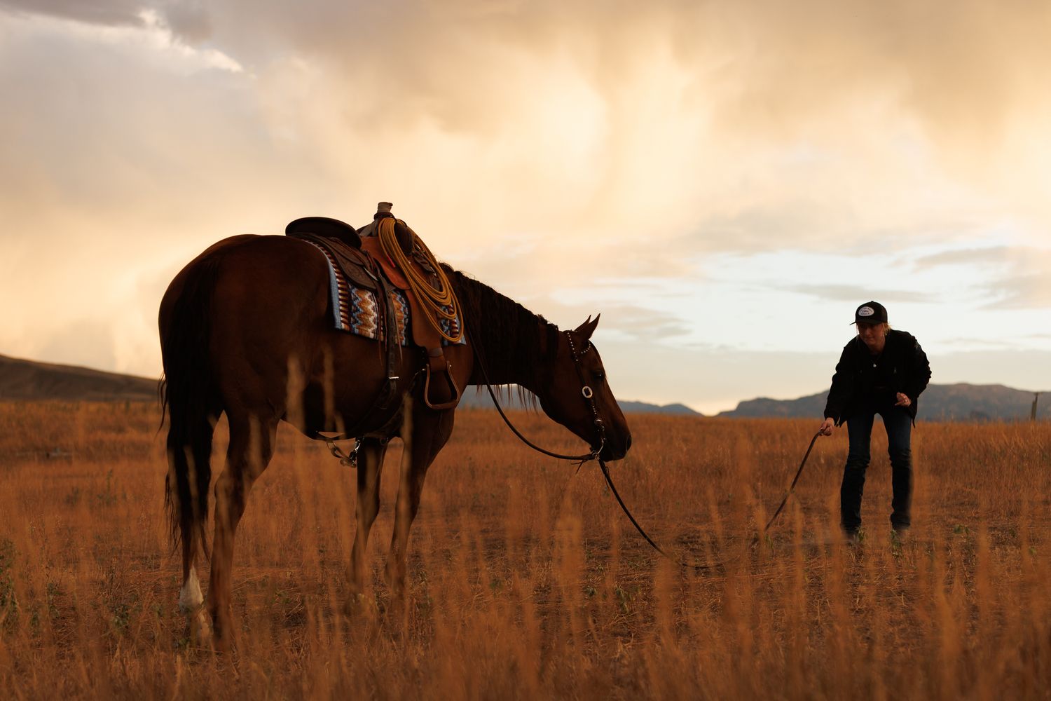 Before photo of a quarter horse portrait in the plains of Wyoming
