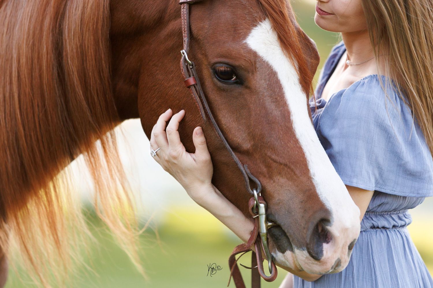 Closeup portrait of an equestrian in a blue dress snuggling the face of her chestnut horse with a white blaze.
