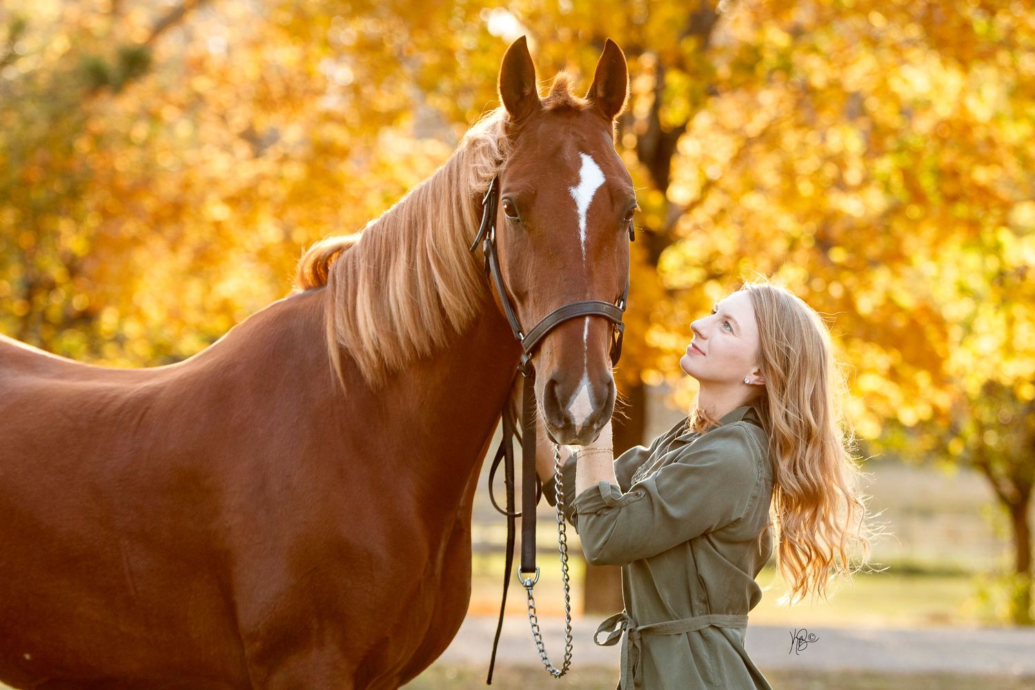 A person in a green coat stands affectionately with a brown horse against a backdrop of golden autumn foliage.