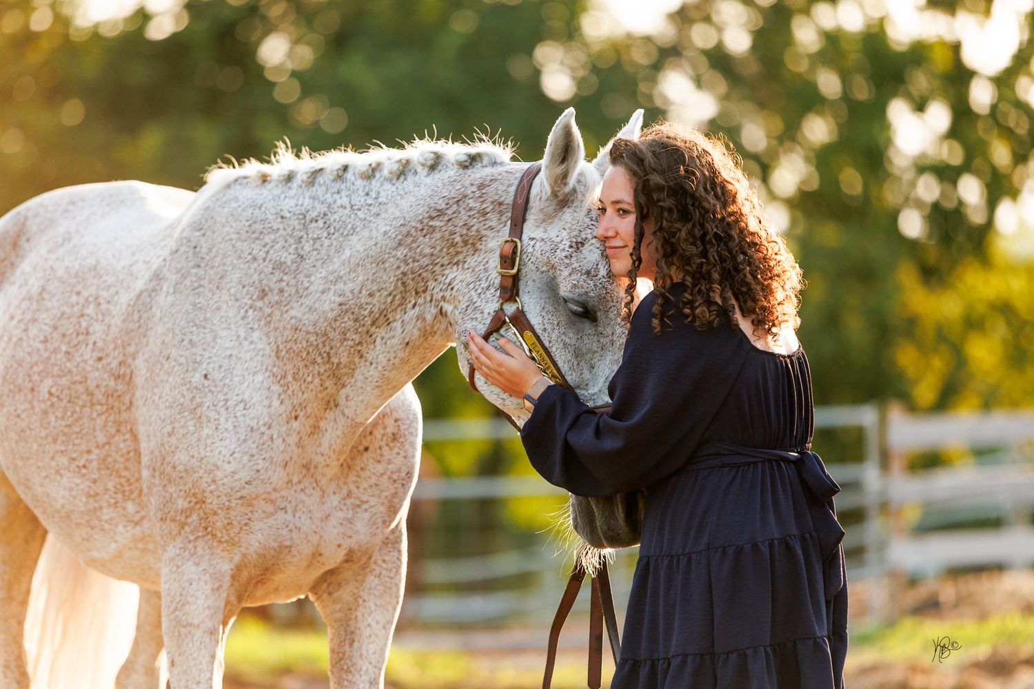 A white horse and young woman in a navy dress embracing in golden sunlight with white fencing in the background.