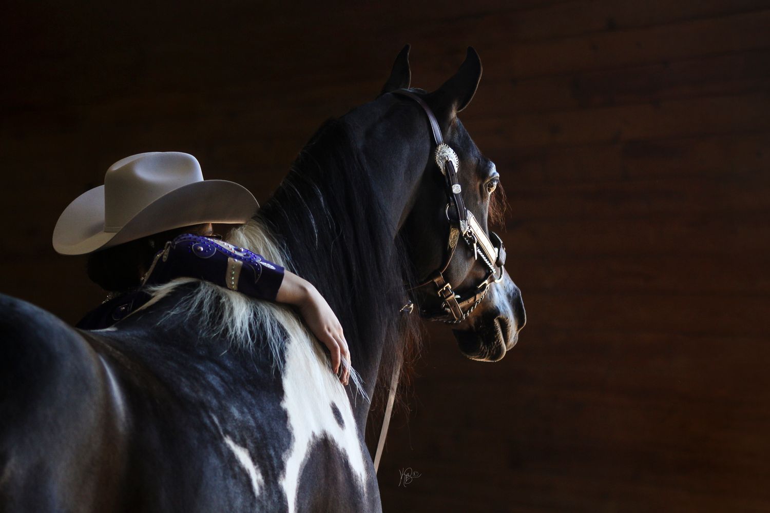 A dark show horse and equestrian in western attire in dramatic lighting, both looking away from the camera