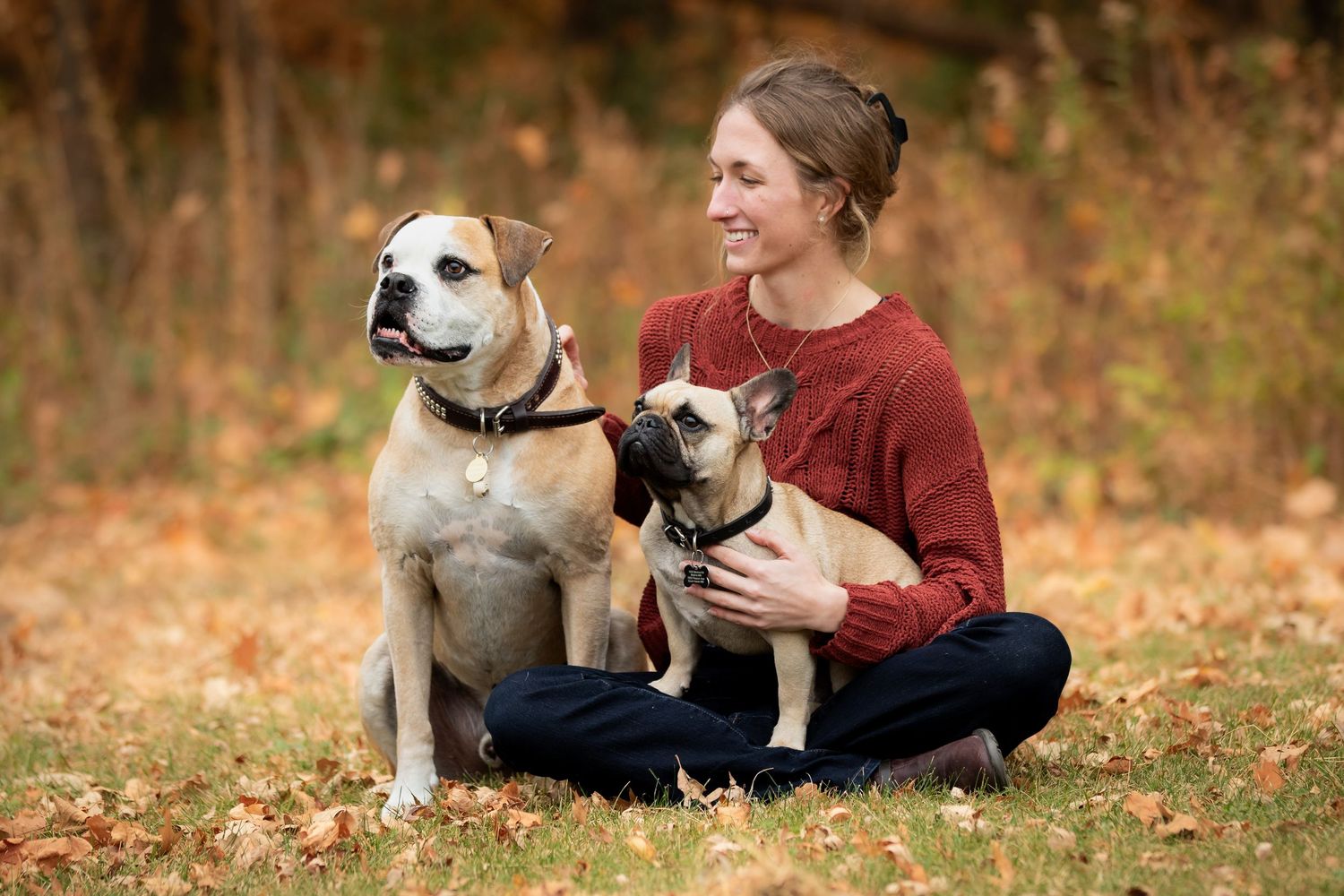 Two dogs sitting with owner on autumn leaves while being petted.