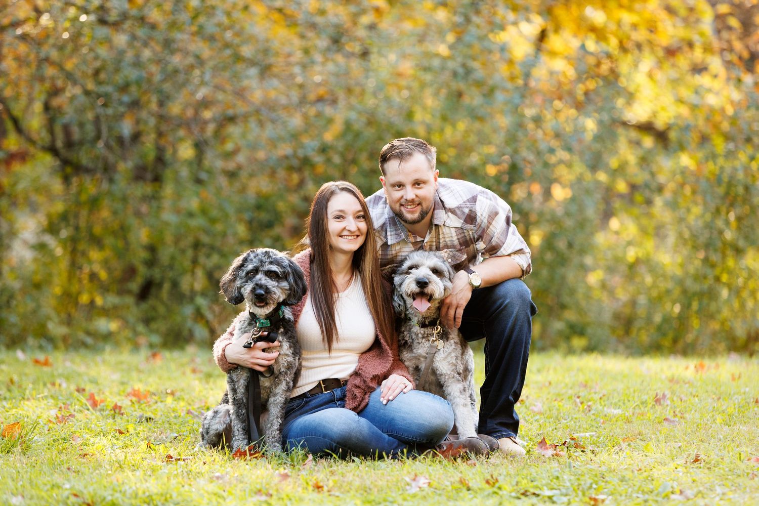 Family portrait with two dogs in an autumn field with golden foliage.