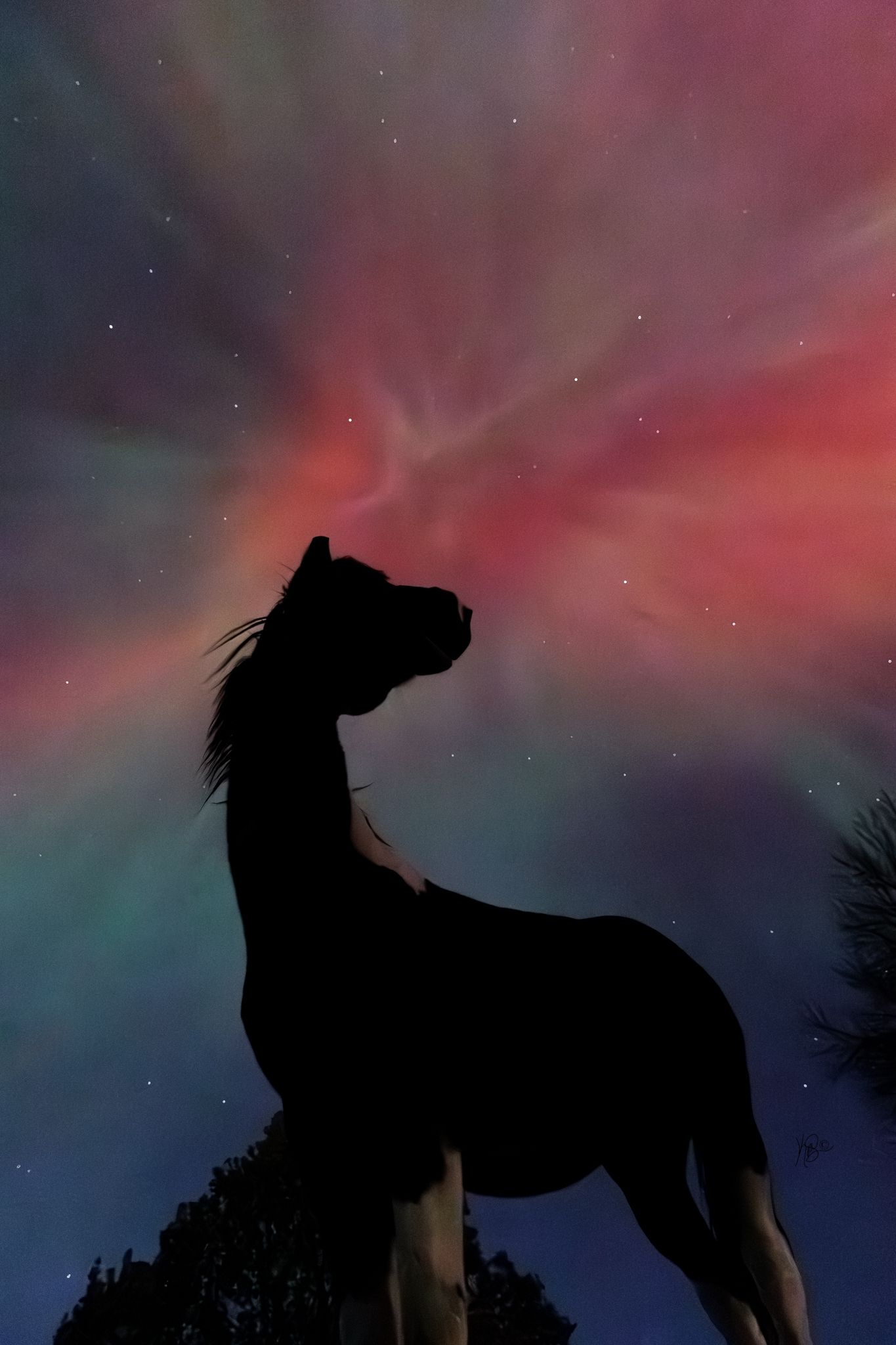 Silhouette of a horse against a colorful night sky with aurora borealis and stars.