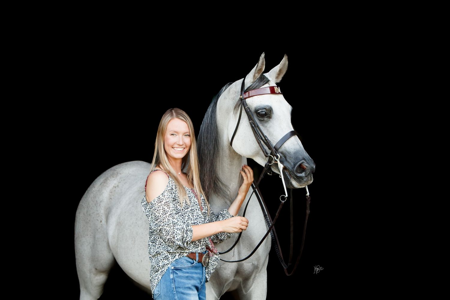 Gray show horse and rider posing against black background in studio setting.