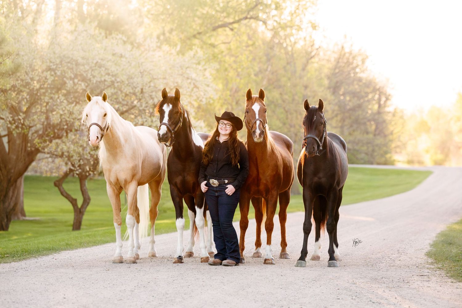 Woman in cowboy hat with her four horses on a tree-lined path in golden hour light.