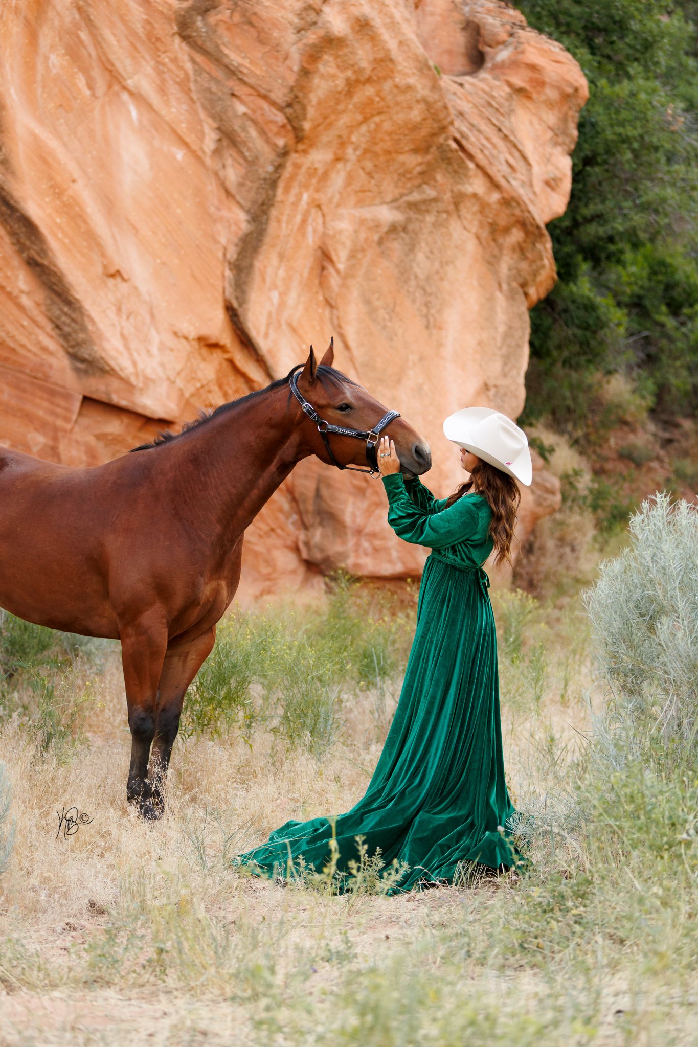 Brown horse poses majestically against red rock formations in desert landscape.