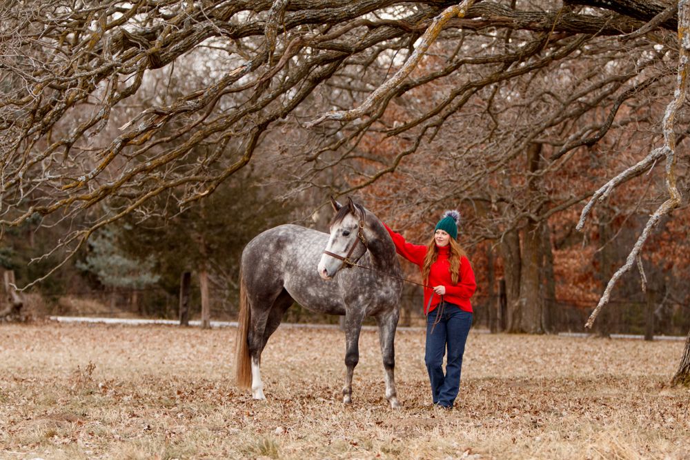A woman in a red sweater next to her grey quarter horse, underneath the branches of big oak trees.