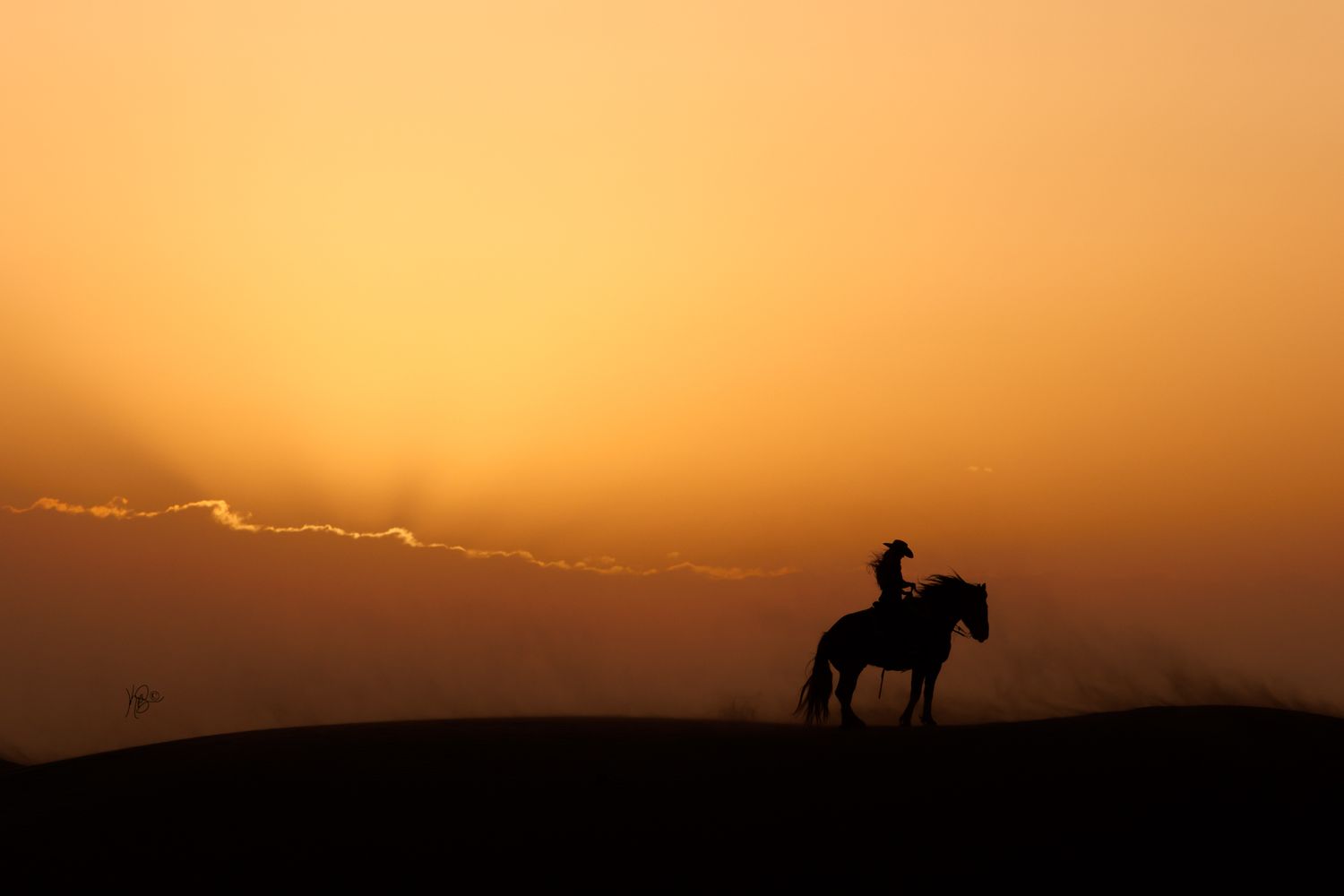 Dramatic silhouettes of horse and rider against an orange sunset sky.