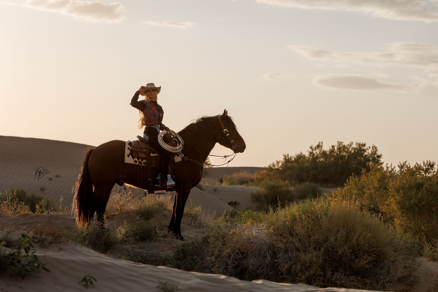 Rider on horseback silhouetted against a desert landscape at dusk.
