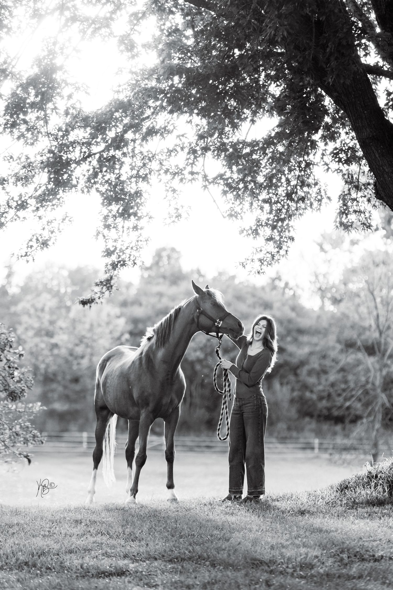 A black and white photograph shows a person in casual attire laughing with her horse under a tree in a peaceful outdoor setting.